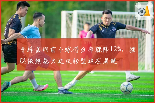 李梓嘉网前小球得分率骤降12%，摆脱依赖暴力进攻转型迫在眉睫