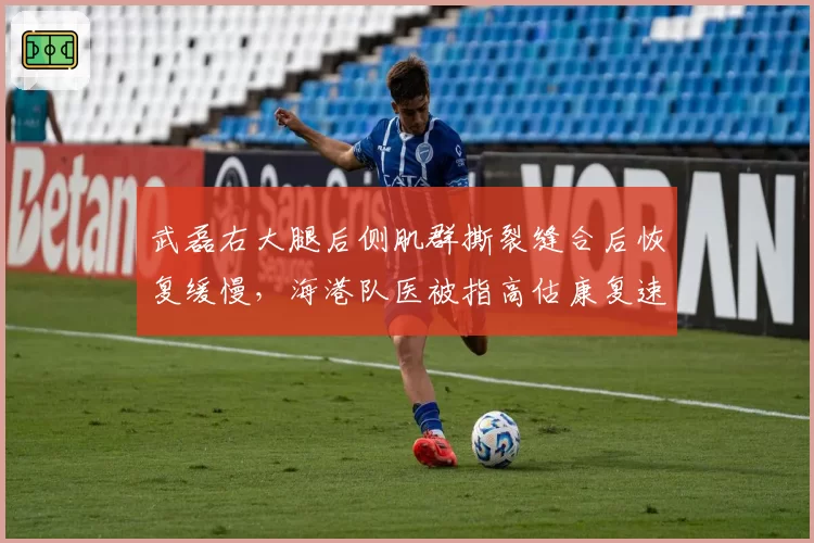 武磊右大腿后侧肌群撕裂缝合后恢复缓慢，海港队医被指高估康复速度