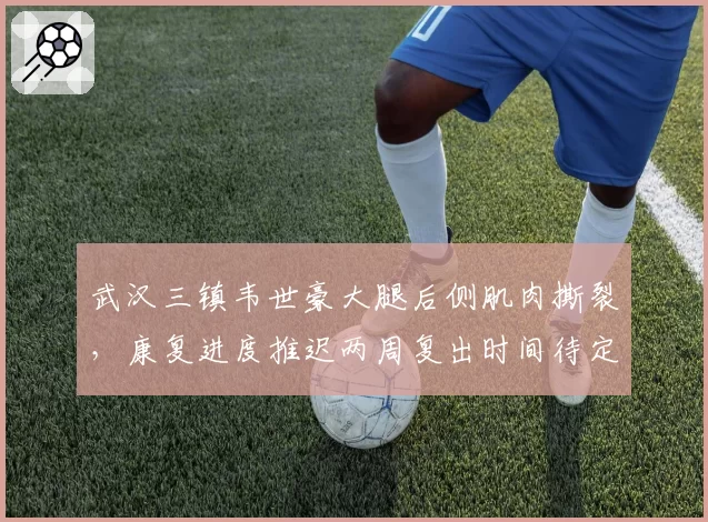 武汉三镇韦世豪大腿后侧肌肉撕裂，康复进度推迟两周复出时间待定