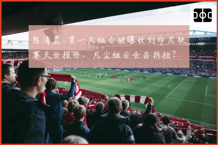 陈清晨_贾一凡组合被曝收到印尼联赛天价报价，凡尘组合会否拆档？